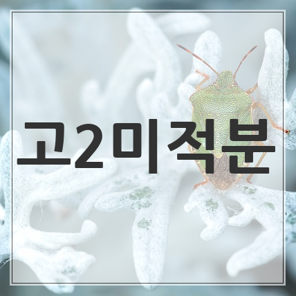 2018 자이스토리 고2 미적분2 답지