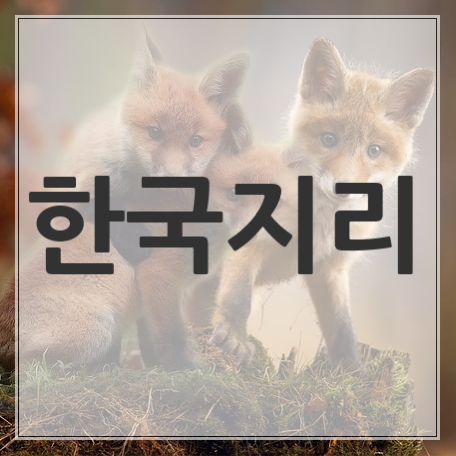 2018 자이스토리 한국지리 답지